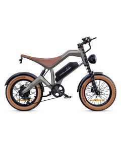 F-WHEEL M20 48V 18.2Ah
750W