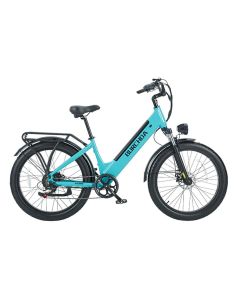 BURCHDA AZ26 48V 18Ah (Lable Showed 20Ah)
500W
(Lable Showed no; 
External publicity 1000W)