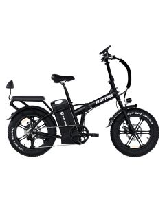 RATTAN LM Ultra 48V 40.5Ah
1000W (Lable Showed 250W)