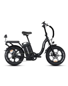 RATTAN LF Ultra 48V 40.5Ah
1000W (Lable Showed 250W)