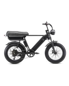 YANGOR Y20 Pro Max 48V 15AH+20AH
500W  
(Lable Showed 250W)