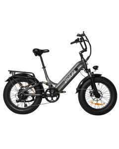 PIXAR Ride 48V 10.4Ah
 500W (Lable Showed 250W)