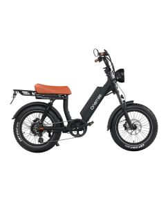 ONEMILE M40 PRO 52V 19.2Ah
850W  (Lable NO Showed )