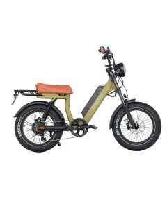 ONEMILE M40 PRO 52V 19.2Ah
850W  (Lable NO Showed )